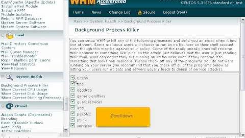 How to use the background process killer in WHM - WHM Management Tutorials