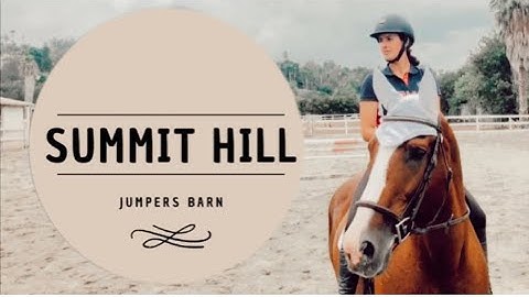New Horse Jumping Channel INTRO #equestrian #viral #horses #lifewithhorses #fyp #showjumping