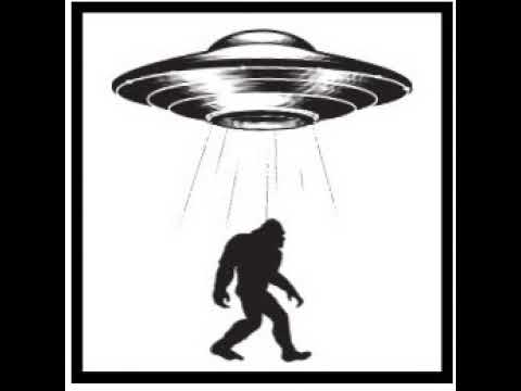 Cryptids, Creeps, And Conspiracy Live Stream