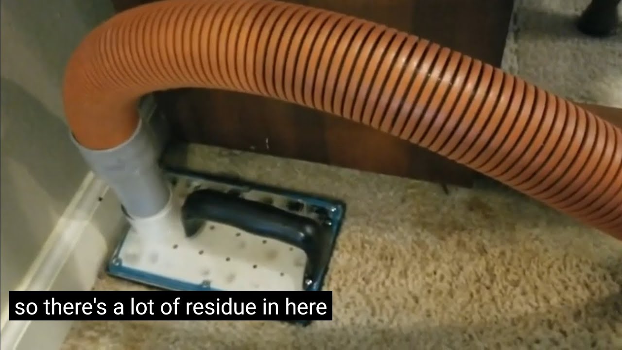 ‼Cat Pee Carpet Padding Flush ‼ YouTube