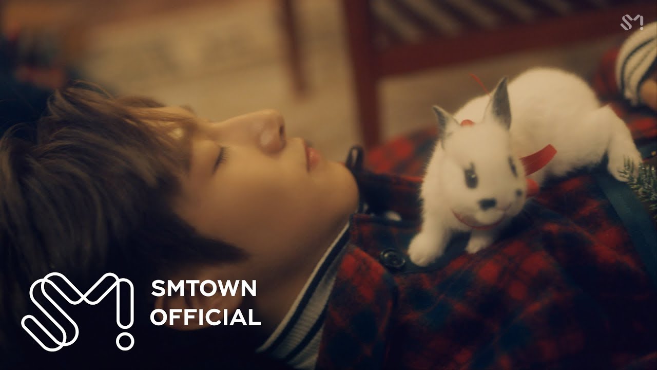nct bunny plush