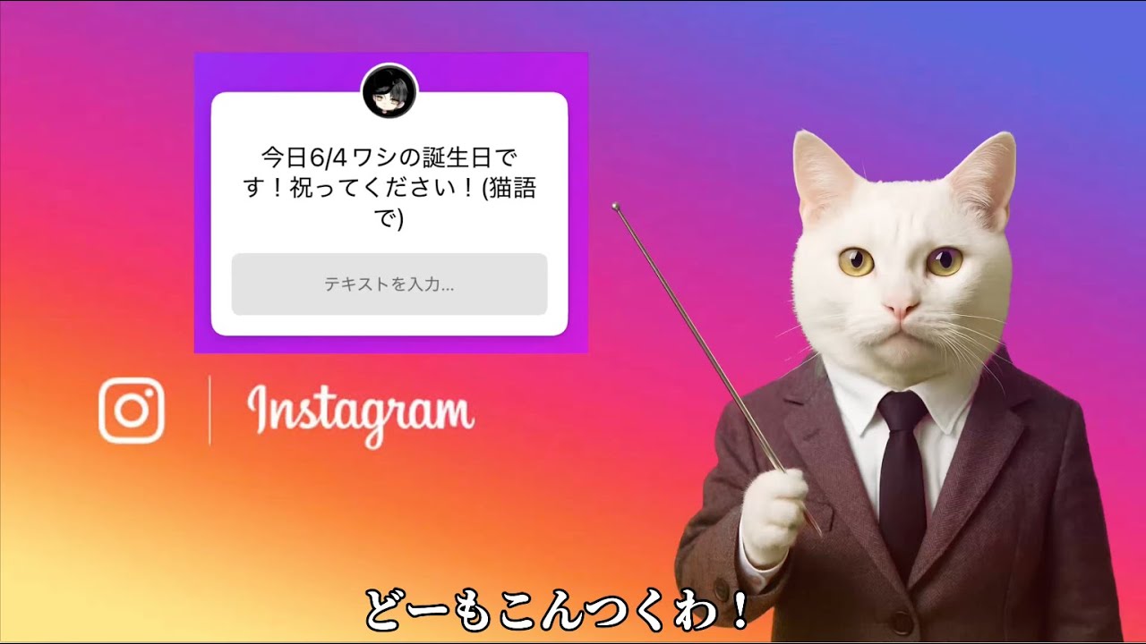 【後で見返す用】インスタで頂いた猫語お祝いメッセージ - YouTube