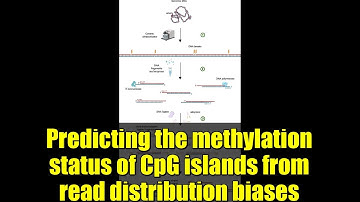 Predicting the methylation status of CpG islands from read distribution biases
