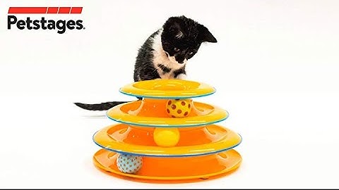 Petstages Cat Tracks Cat Toy - Fun Levels of Interactive Play - Circle Track with Moving Balls