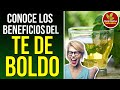 PARA QUE SIRVE EL BOLDO | BENEFICIOS DEL TE DE BOLDO