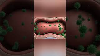 Common Cold: What Happens Inside Your Nose