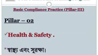 How Many Pillars Of Smeta Audit?