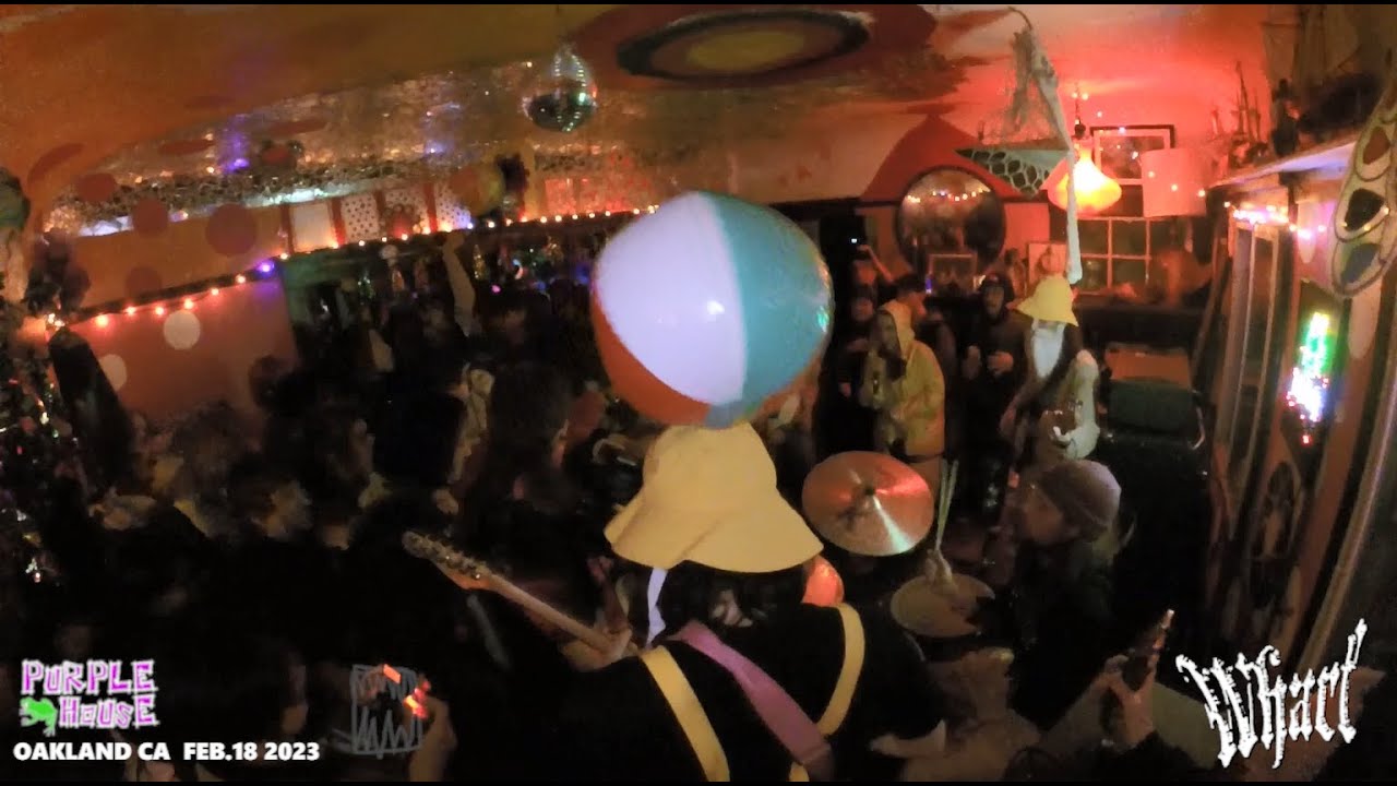 Wharf Purple House. Oakland Ca. Feb.18 2023 (OT115) YouTube