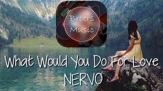 🎧 WHAT WOULD YOU DO FOR LOVE - NERVO [Broers Music]