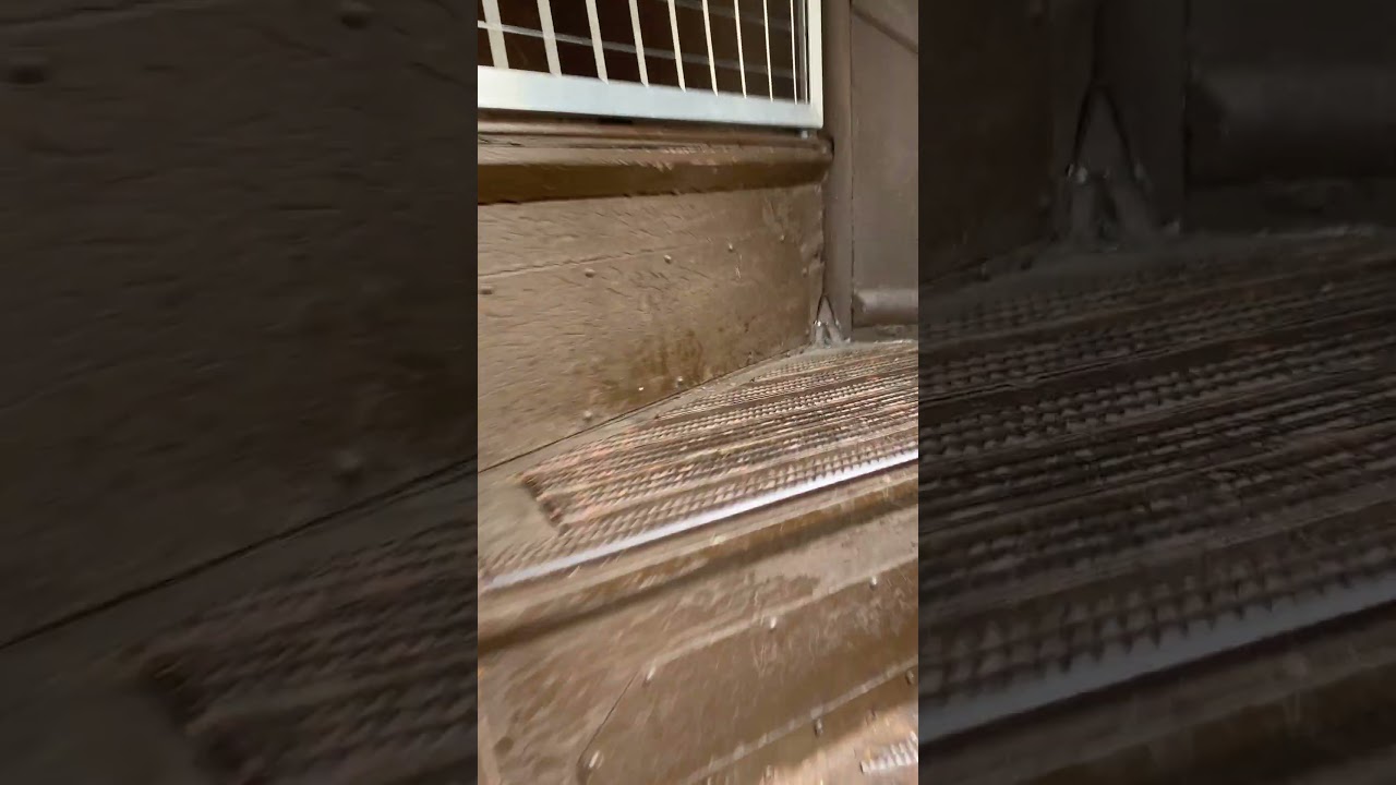 Inside the Knight Bus 