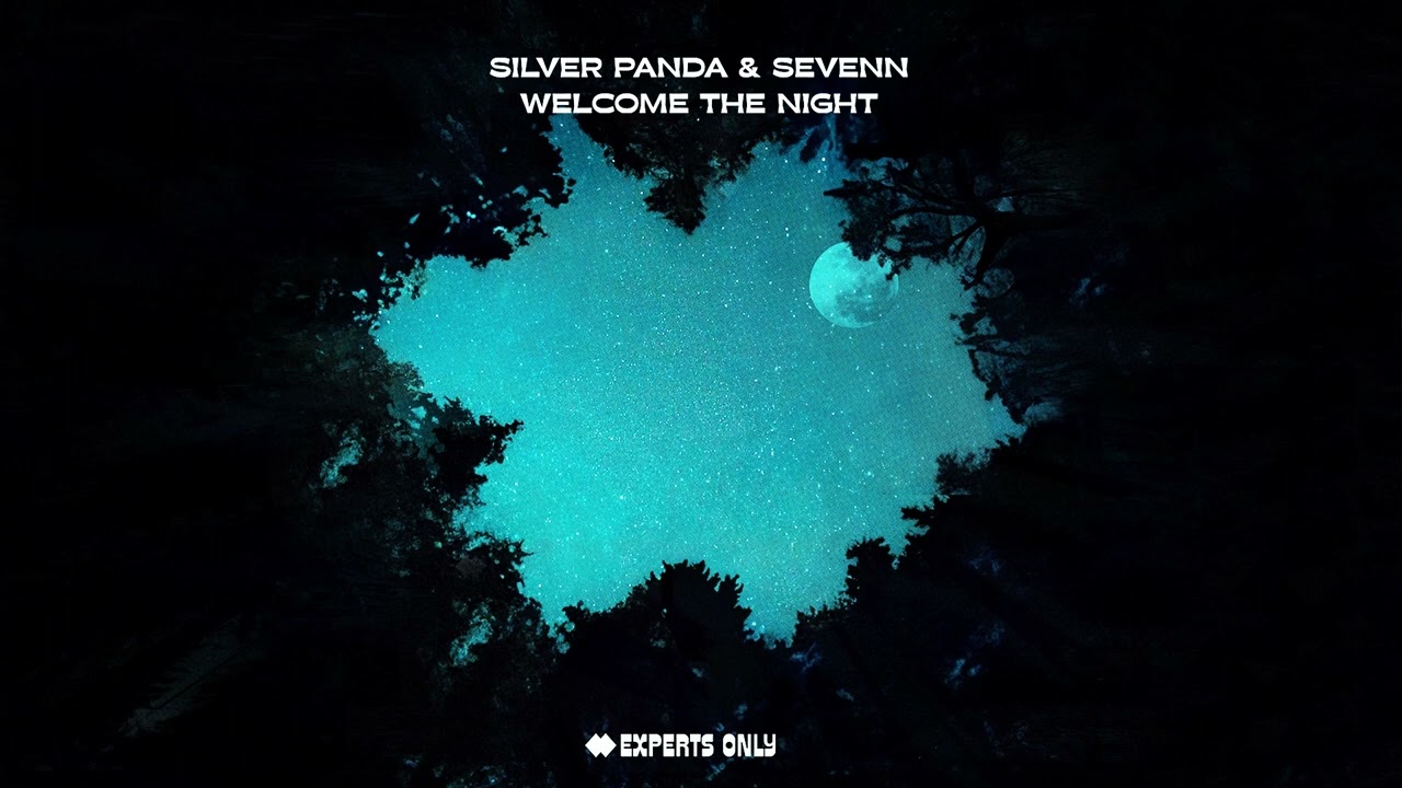 ⁣Silver Panda & Sevenn - Welcome The Night (Original Mix)