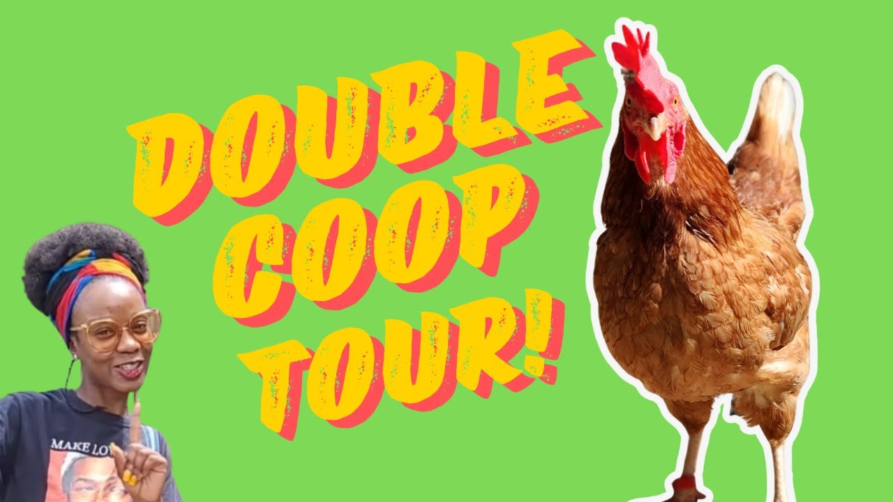 Ready for a DOUBLE chicken coop tour?