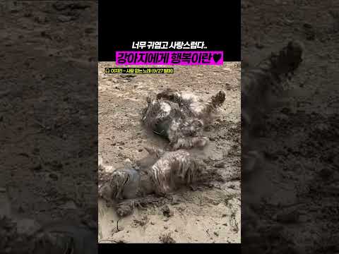 너무 귀여워서 영상이 안끝나요 🎤 이지민 - 사랑 없는 노래 (9/27 발매)