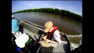 Pennsylvania - Day - Fish5050