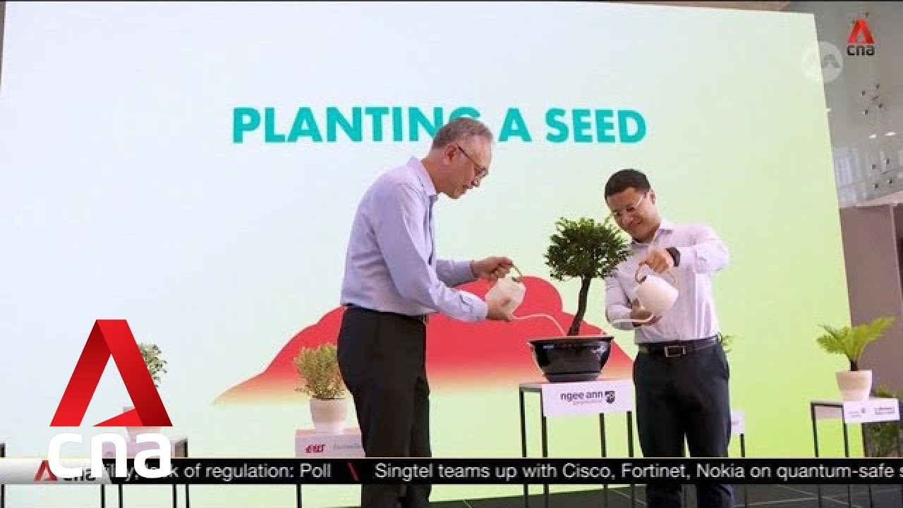 Ngee Ann Poly launches curriculum-wide springboard to teach and think green