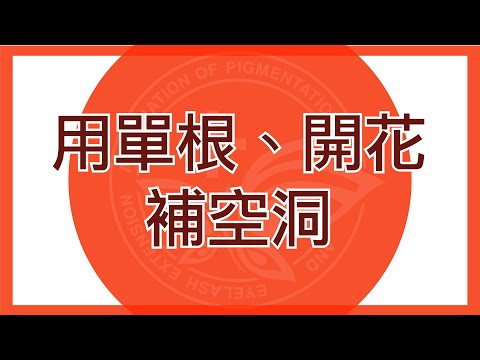 【美睫教學】如何用單根、開花補空洞？    How to fill in lash gaps by 3D lash or volume fan ?