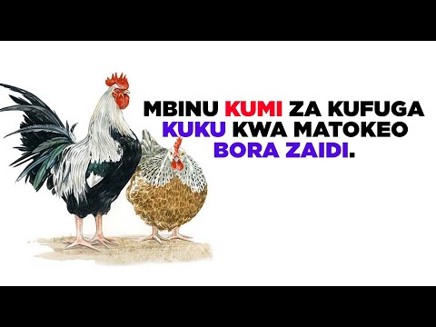 Video: Nini Cha Kujiandaa Ikiwa Unaamua Kufuga Kuku