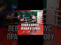 Корпус - голова #training #boxing #fight #fitness #sport #бокс #школабокса #удар