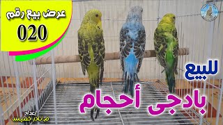 عرض رمضان ذكرين احجام اسبليت اينو رقم 020