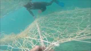 モズク網設置作業