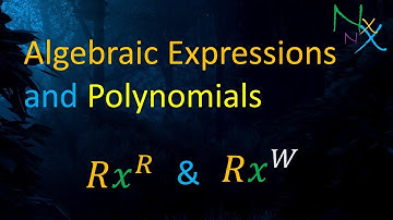 Difference Between Algebraic Expression and Polynomial