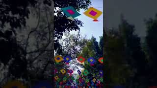 Colourful kites shortsvideo shortsfeed
