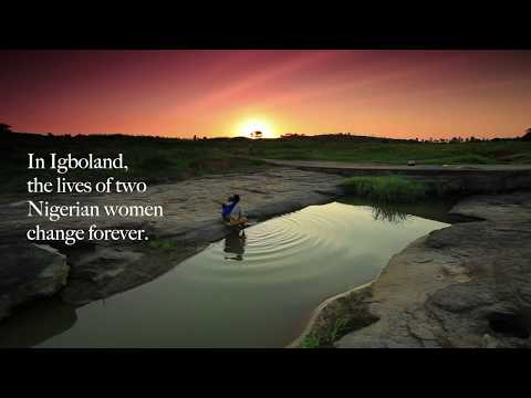 The Son of the House by Cheluchi Onyemelukwe-Onuobia