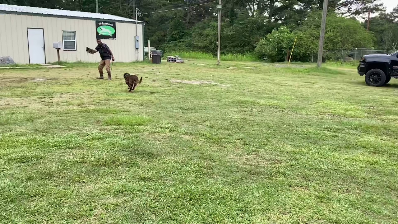 Control the mind the body will follow