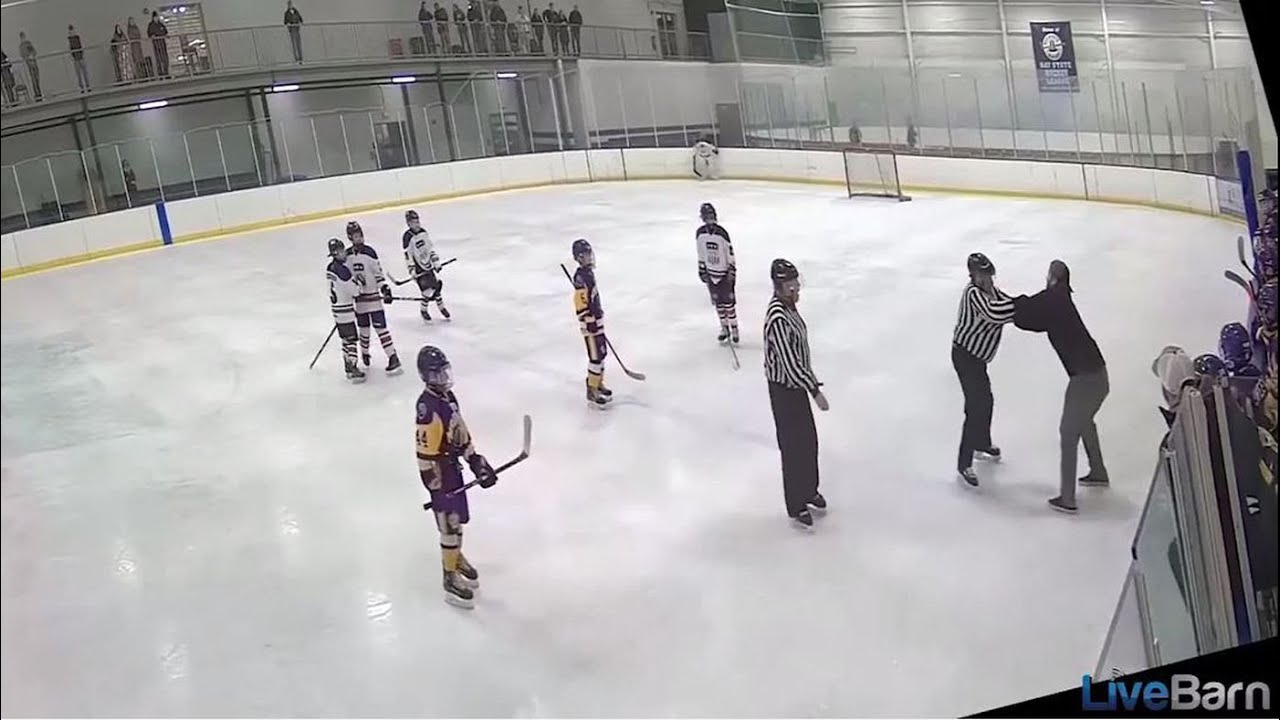 Youth hockey coach fired after tackling referee, spitting in his face