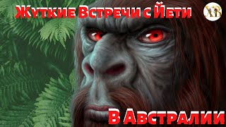 Жуткие встречи с Йети в Австралии.Существо одним движением разорвало кенгуру...