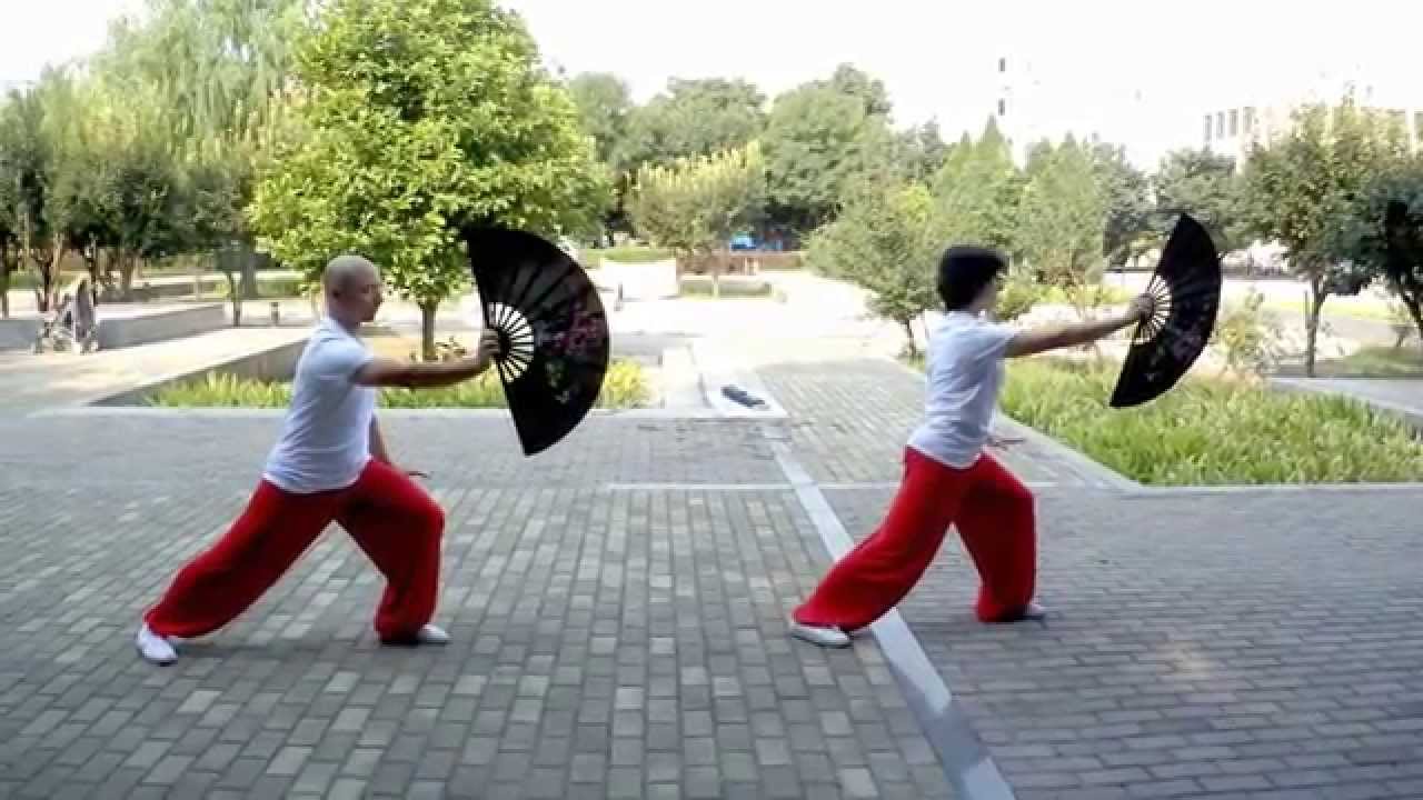 Taichi 👉🏻 ¡Descubre Abanico de 56 Movimientos! 💨 (Taiji Gong Fu Shan II)