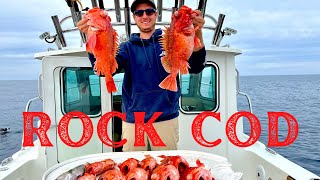 CALIFORNIA ROCKFISH {CATCH CLEAN COOK} | San Diego Fishing