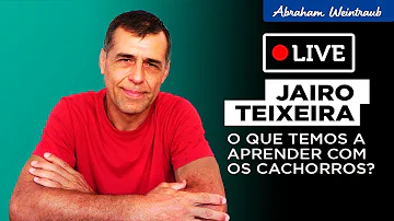 O que podemos aprender com os cães?