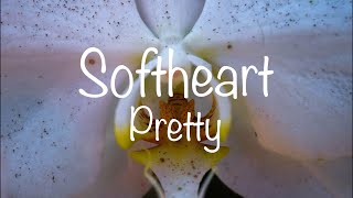 Softheart - Pretty
