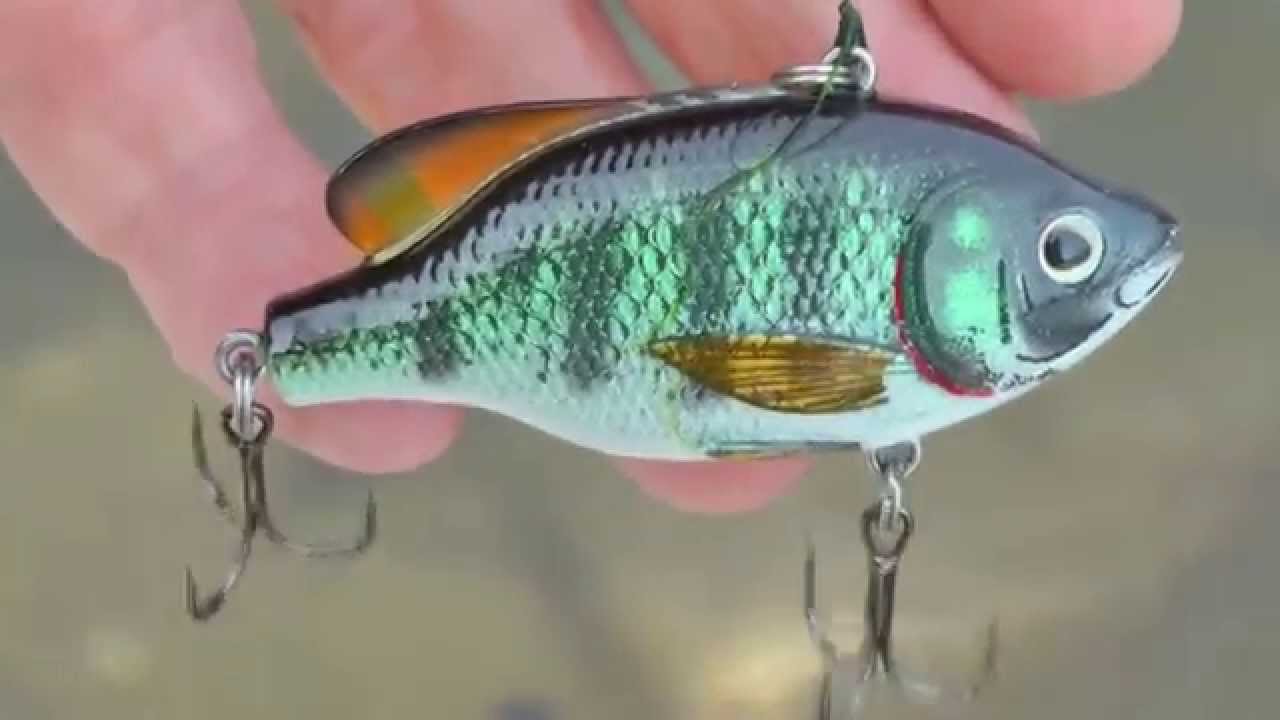 Live Action bass fishing lure product review. High quality bait. WillCFish  Tips and Tricks. 