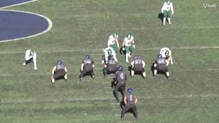 Alexandre Gagnon DE #90 Sherbrooke 2017 CFL draft prospect Highlights