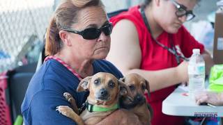 Texas Veterinary Medical Reserve Corps Serving Our Communities Throughout Texas