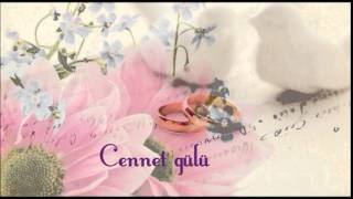 Metin Kalaman Cennet Gülü