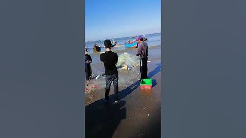 CẢNH ĐÁNH BẮT CÁ BIỂN CỦA CƯ DÂN TẠI VŨNG TÀU