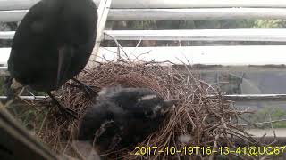 20171019T1600~1630