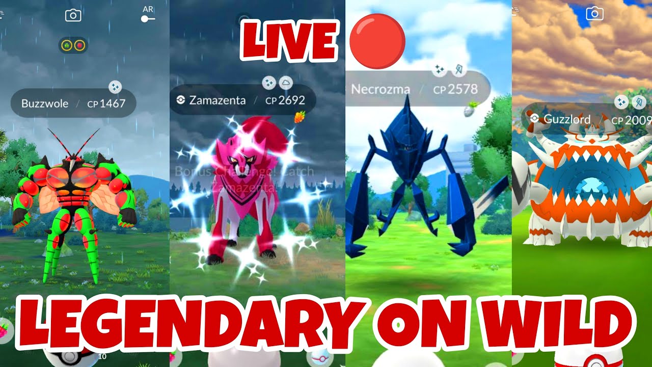 Legendary On Wild 🔴 LIVE Pokémon Go