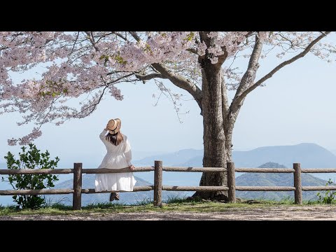 明日、春が来たら - 松たか子（フル） - YouTube