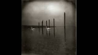 OM - Flight of the Eagle (Instrumental Version)