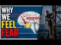 "Why We Feel Fear and How the Brain Processes It" | HowCore |