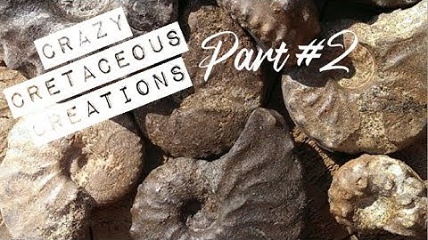 Part 2 How to Prep Fossils for Beginners.. Engraver, (Dremel 290) ep 3