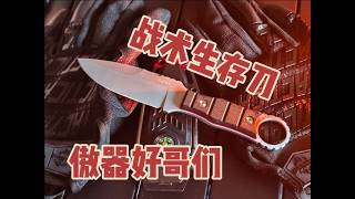 Budget-Friendly Outdoor Survival Gear: Tactical Multi-Functional Fixed Blade! Aoqi DC53! Compass,...