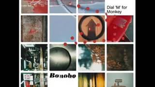 Bonobo - Noctuary