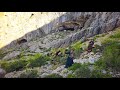 Nomadic Life:Story of a Lost Goat Gave Birth in Zagros Mountains and Was Saved from Wild Animals