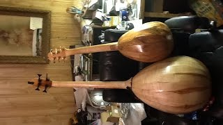 Bass Lute Oud Guitar