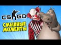 КАК СКАМИТЬ МАМОНТОВ 🤡 CS:GO КС ГО Маньяк (Смешные моменты)